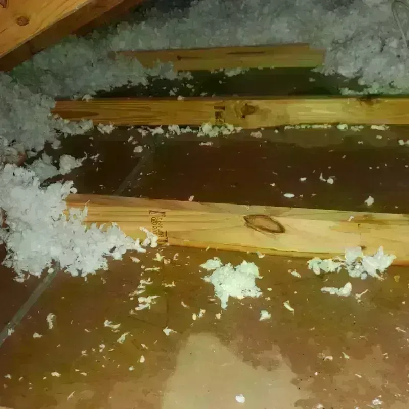 Attic Water Damage in Traer, IA